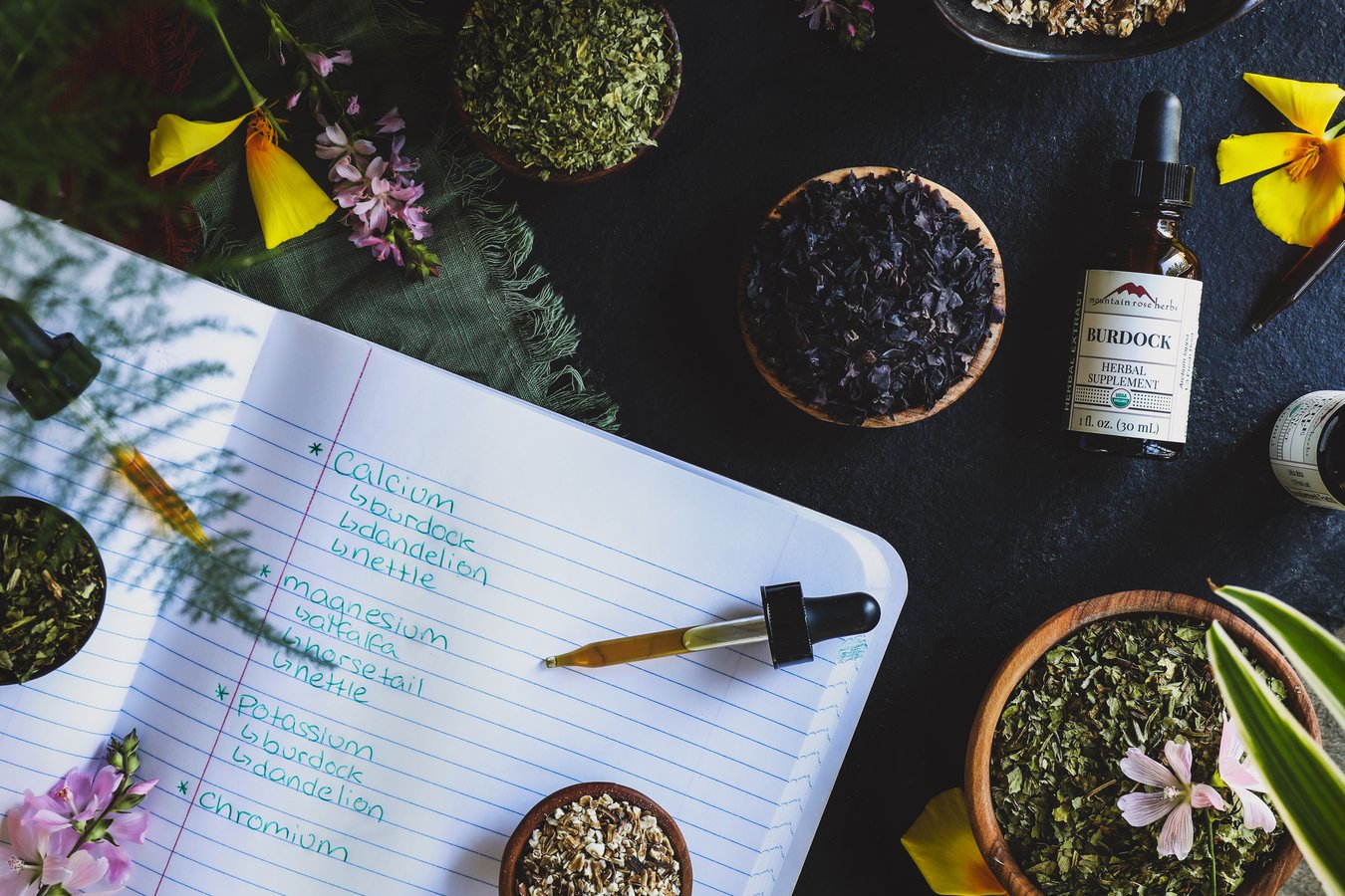 Herbs, tinctures, and an herbal studies notebook.