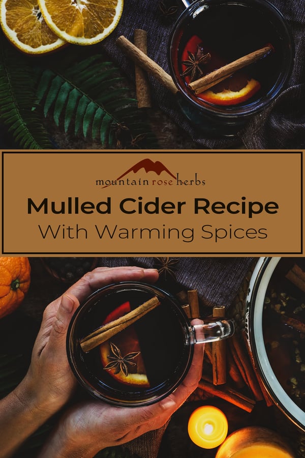Pinterest photograph of mulled cider recipe with warming spices.