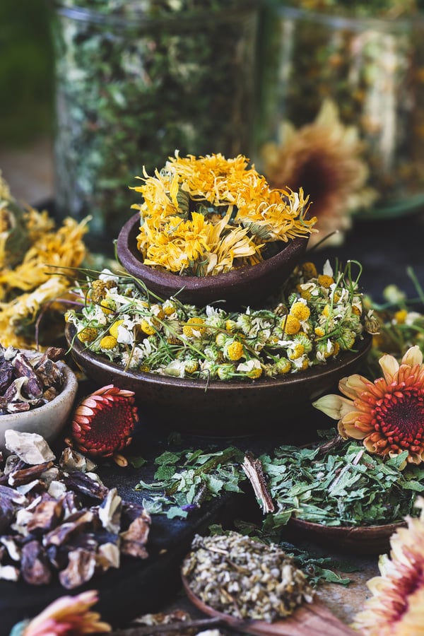 An assortment of US grown herbs