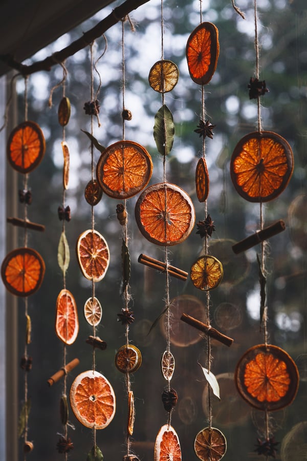 Strings of dried citrus and herbs hang in a window