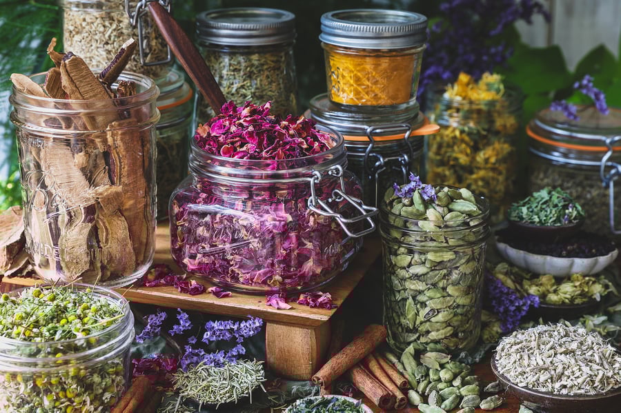 The contents of an herbal pantry laid out on a counter