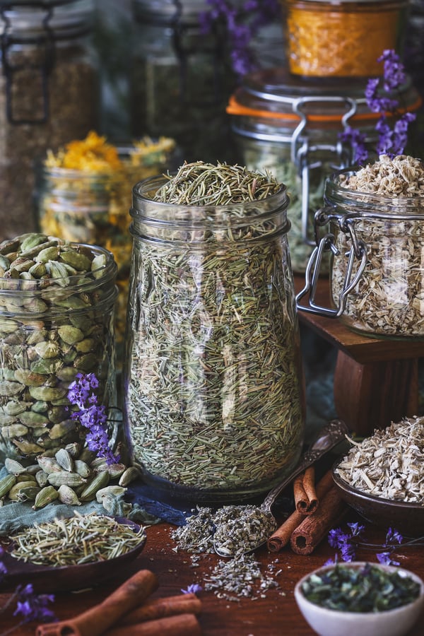 An assortment of herbs to support winter wellness in jars