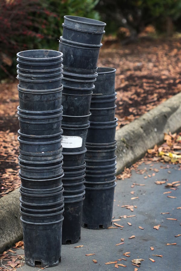 A stack of empty pots indicates happily planted trees