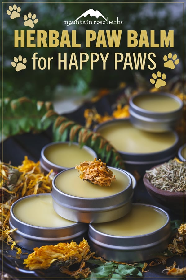 Puppy Paw Balm Salve PIN