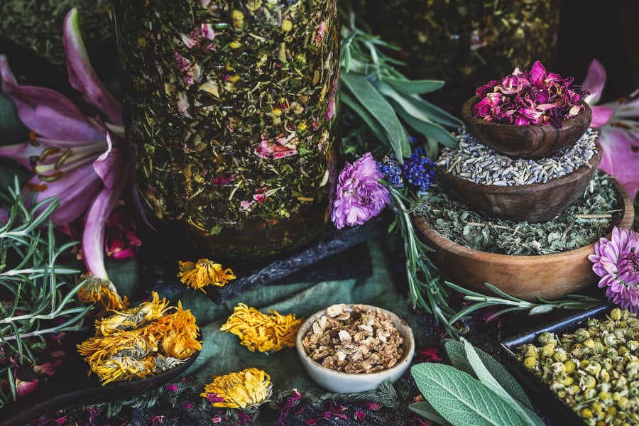 A jar of infusing herbs sits beside an array of botanical ingredeints