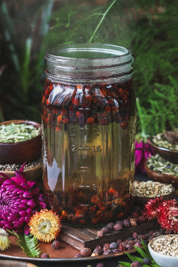 A quart jar filled with hot water and dried hawthorn berries steeps on the counter with other herbs nearby