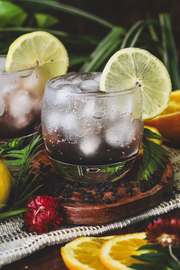 A shrub mocktail with ice and lemon