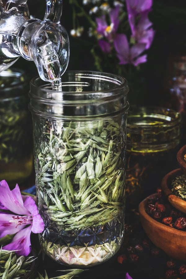 Vegetable glycerine is being poured over oat tops into a jar to make a glycerite