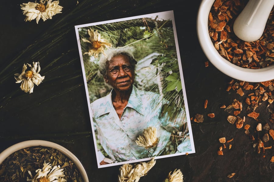 An overhead photo of Emma Dupree with sassafras bark and dried mint