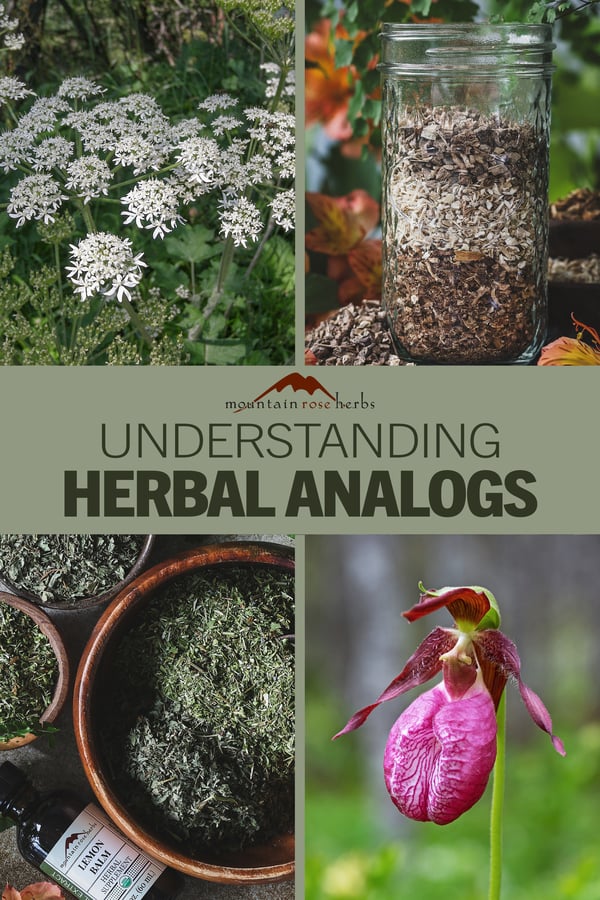 Mountain Rose Herbs PIN photo