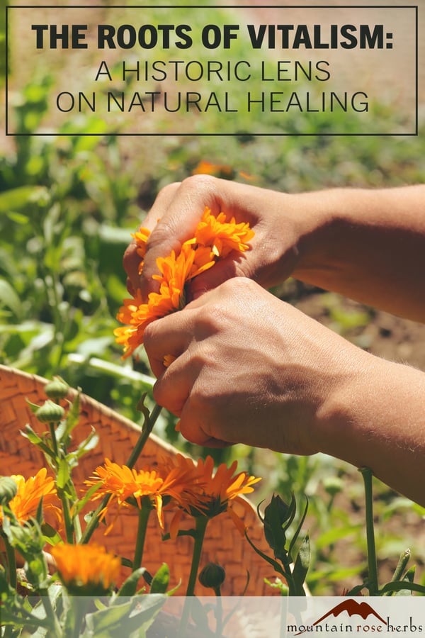 Vitalism PIN_AdobeStock_167079010