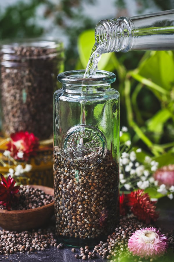 A jar of dried vitex berries with alcohol being poured into it to create tincture