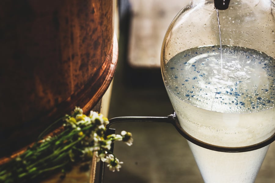 An inside look at the hydrosol distillation process