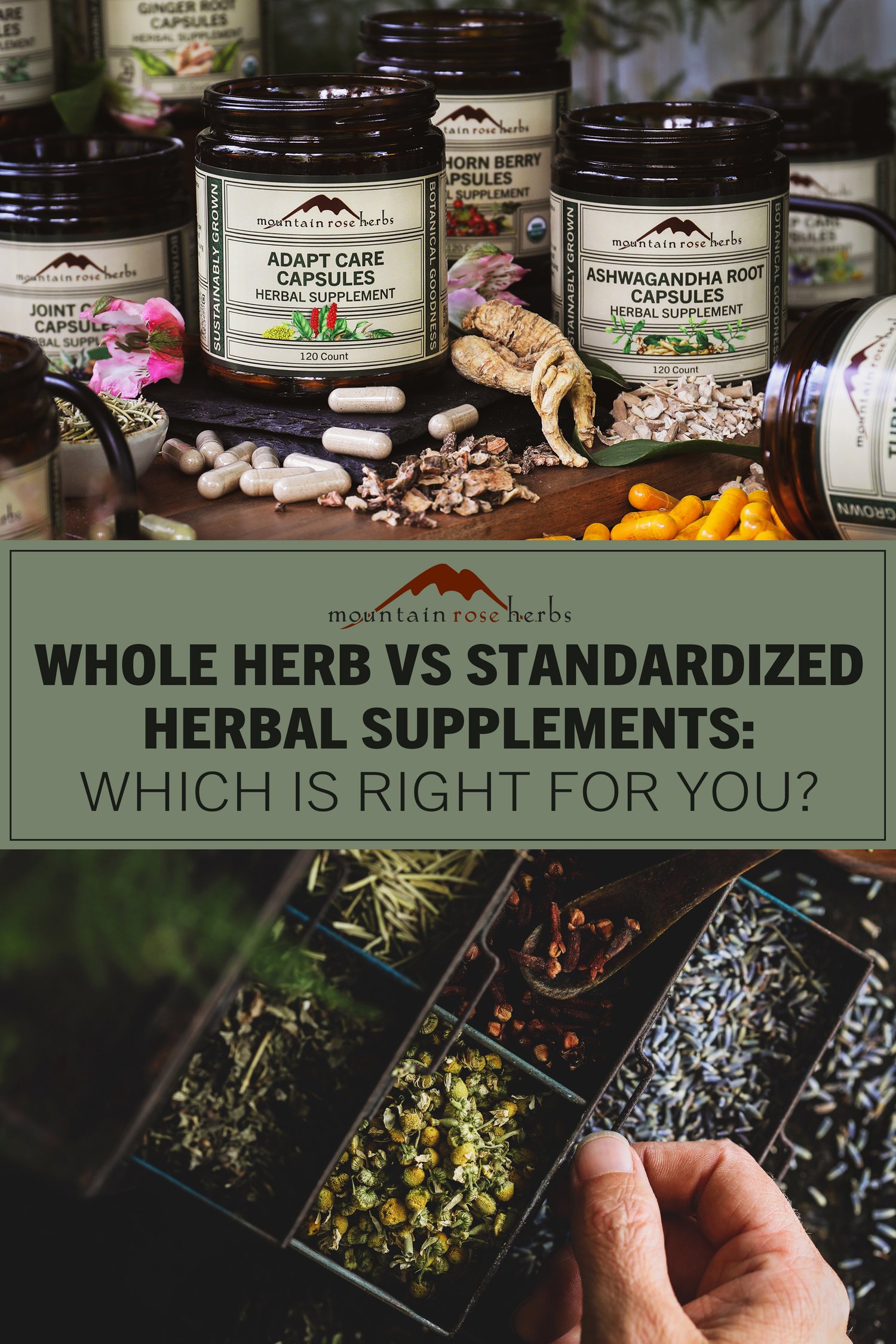 Whole Herb vs. Standardized Herbal Supplements: Which is Right for You?