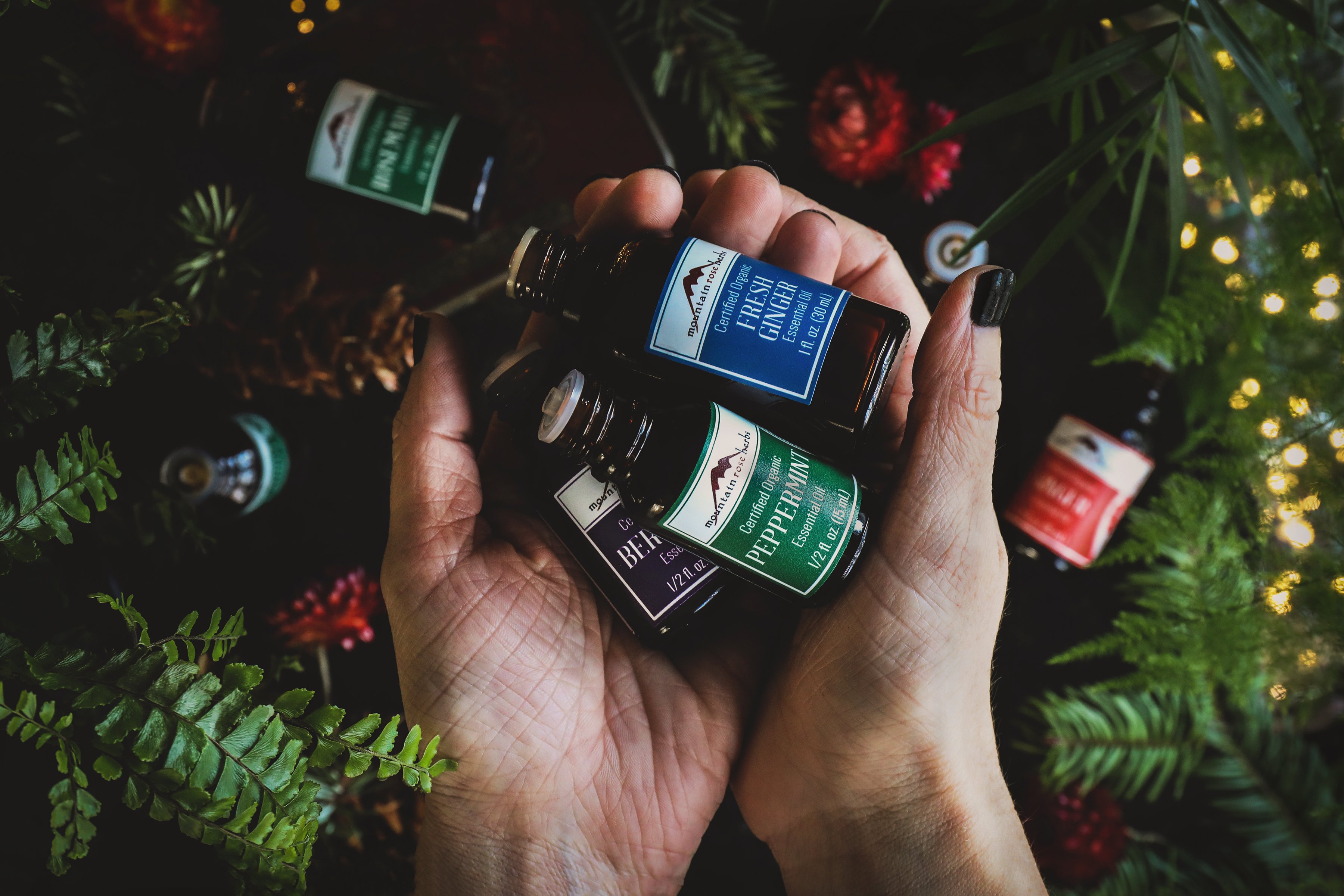 Essential oil bottles of fresh ginger, peppermint, and bergamot cupped in hands. 
