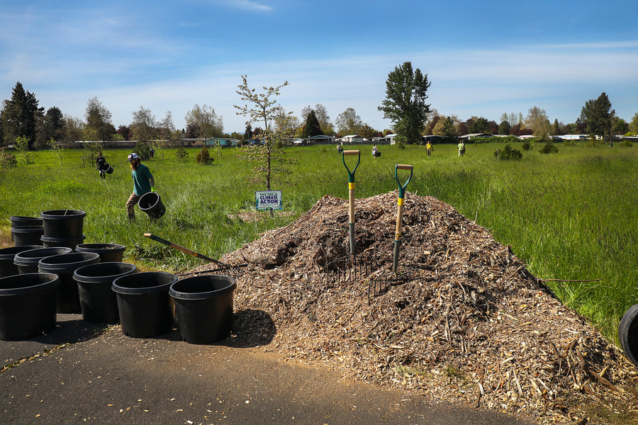 Members of the green team enjoy the sunshine as they work to weed and mulch native trees