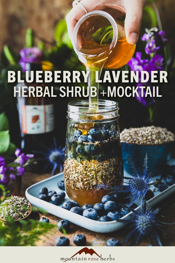 Blueberry Lavender Herbal Shrub link to Pinterest