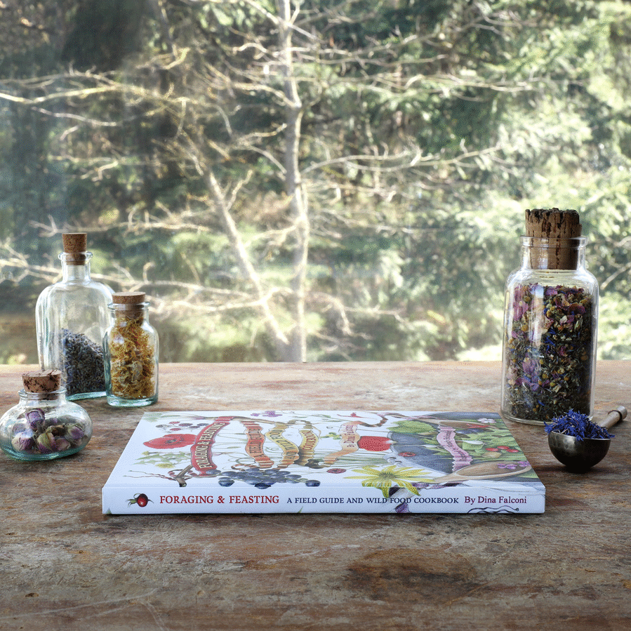 Modern Herbalism Books for Your Home Apothecary