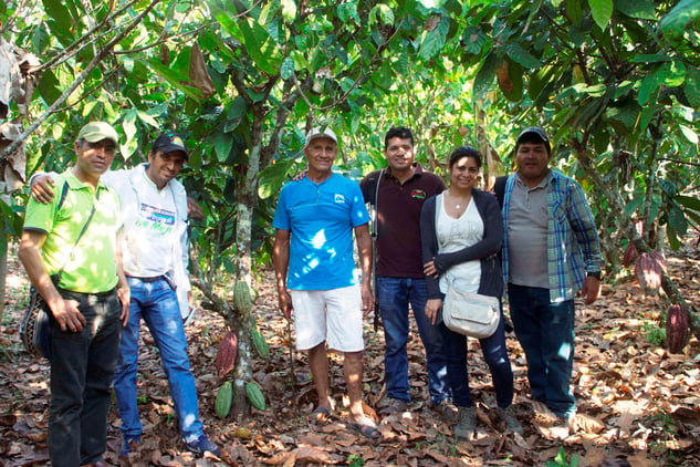 Cacao Farmers Stand For Photo in Peru Near Cacao Trees
