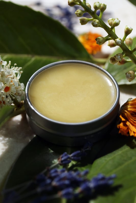 Homemade calendula salve in tin amidst fresh leaves and flowers.