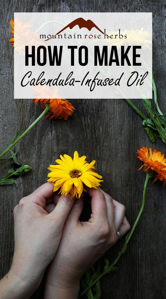 How To Make Calendula-Infused Oil Pinterest Pin from Mountain Rose Herbs