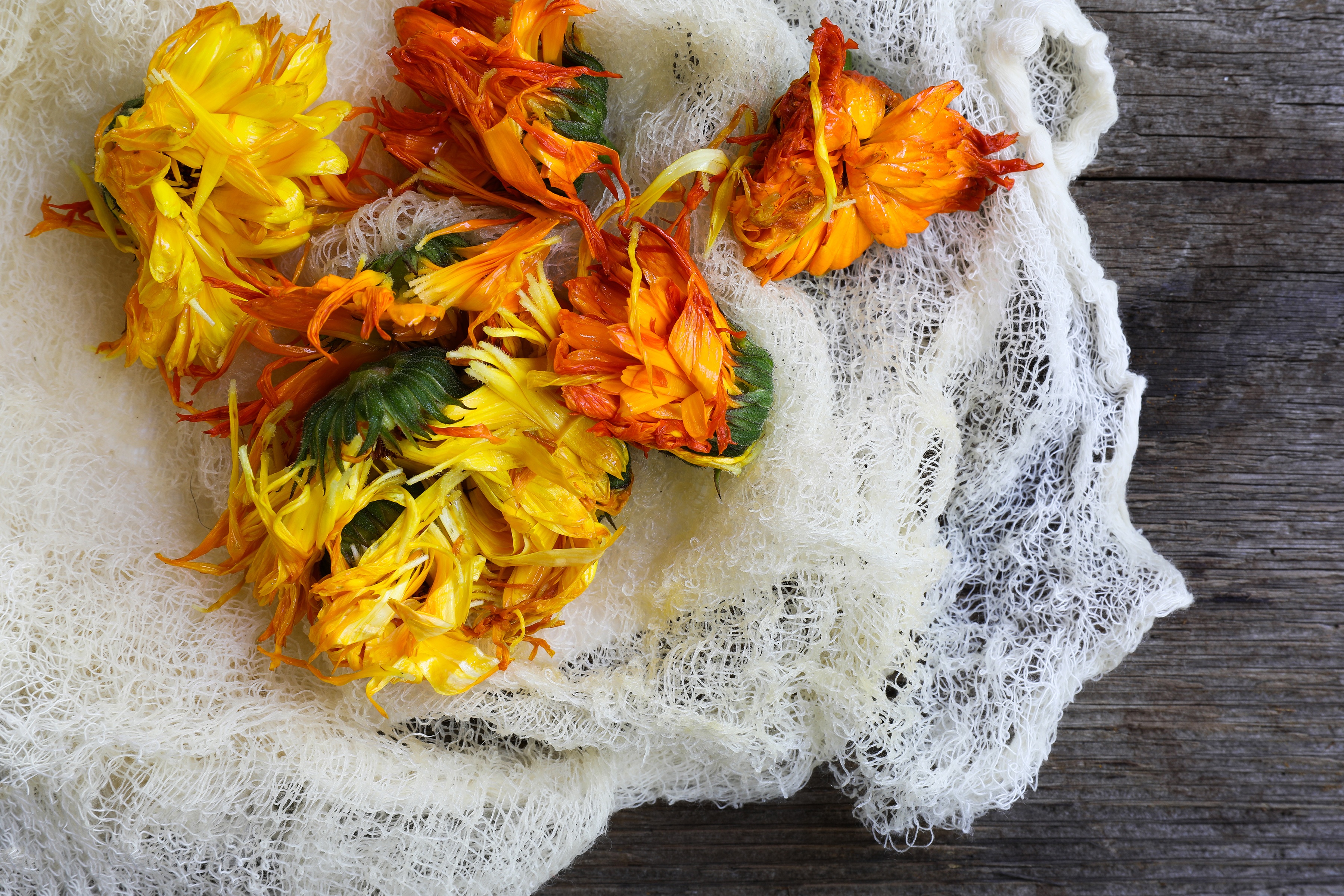 Calendula flowers laying on cheese cloth on worn wooden table