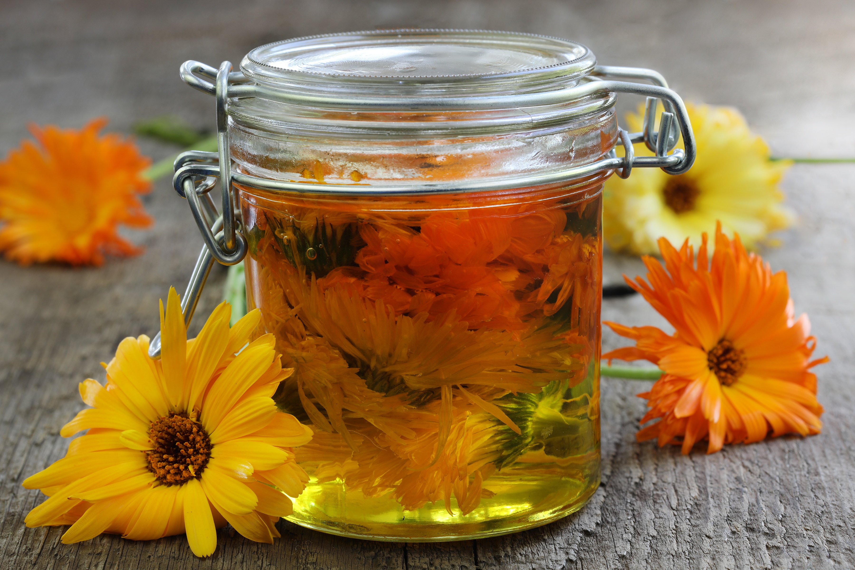 Calendula flowers in jar infused in oil sitting next to flowers