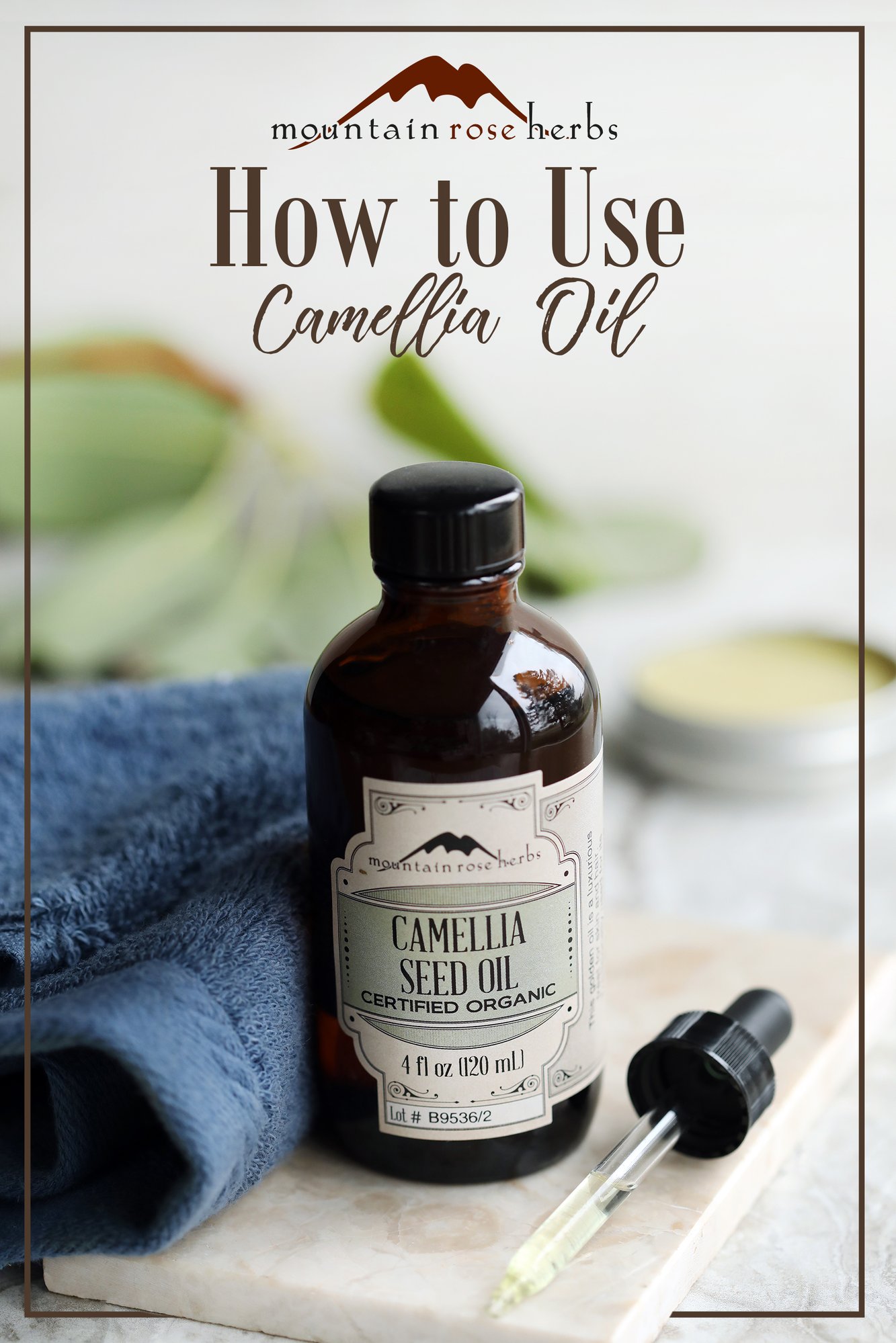 Organic Camellia Seed Oil for Skin & Hair Care