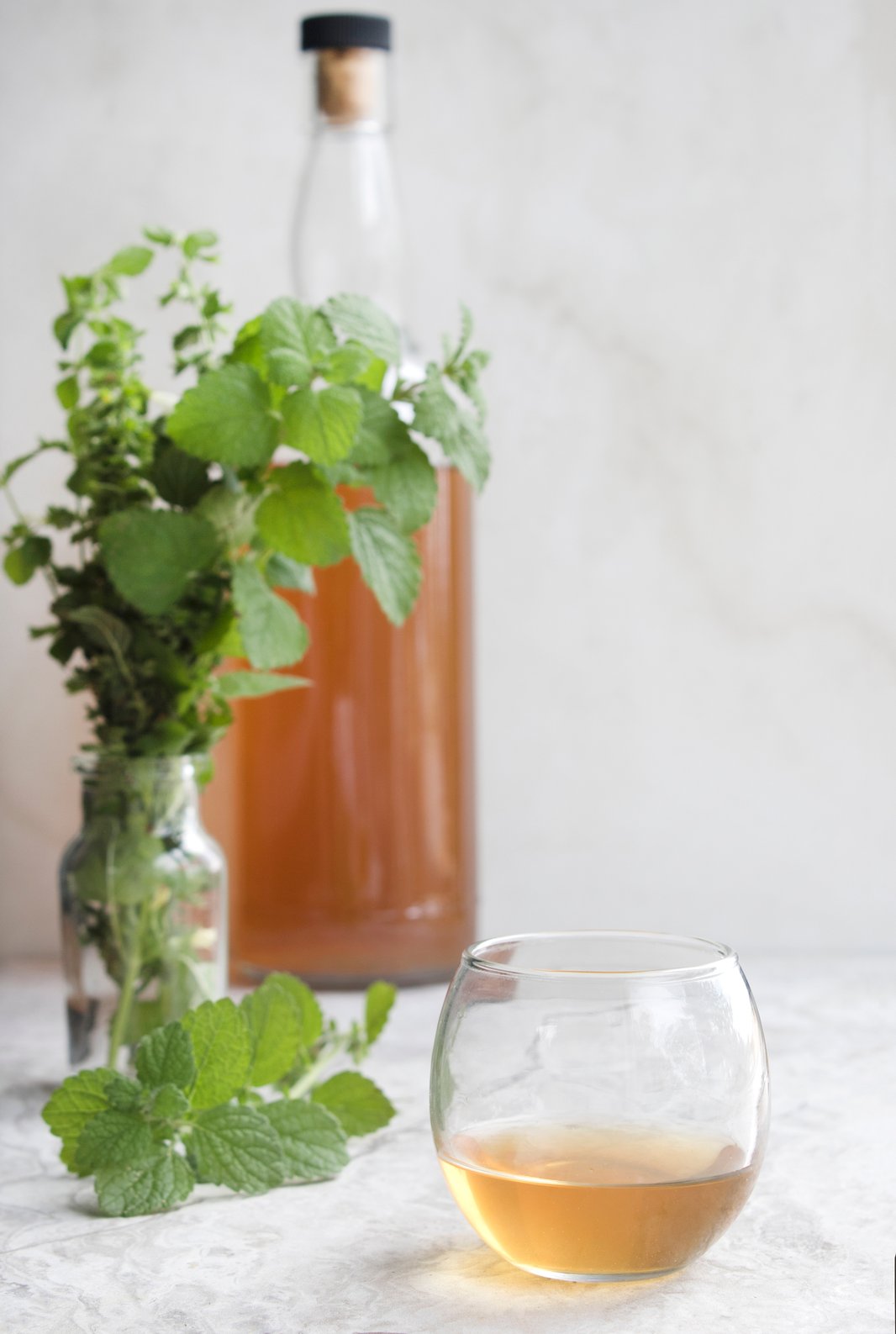 Herbal Carmelite Water Recipe With Lemon Balm