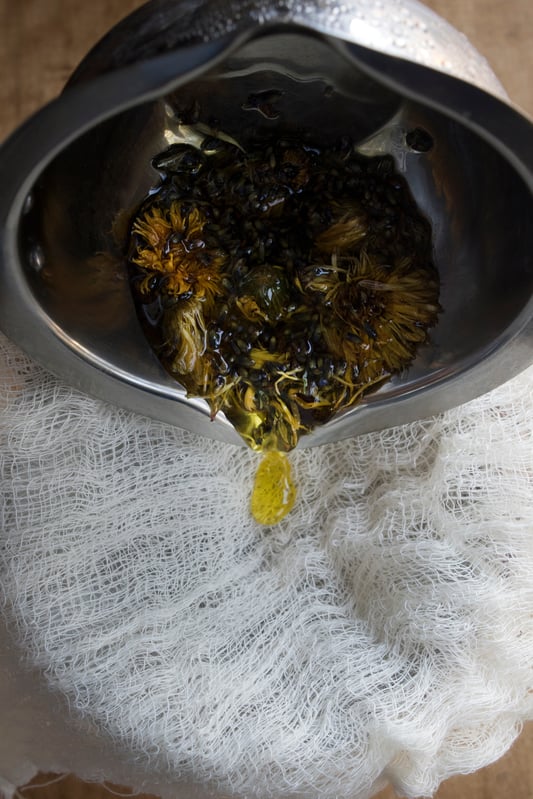 Straining yellow flowers in olive oil through cheesecloth