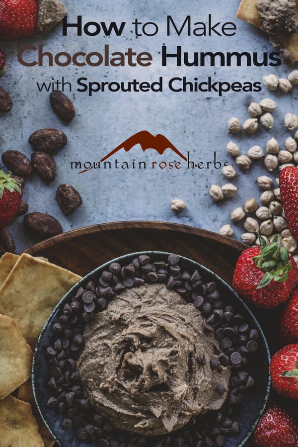 Pinterest image for How to Make Chocolate Hummus with Sprouted Chickpeas
