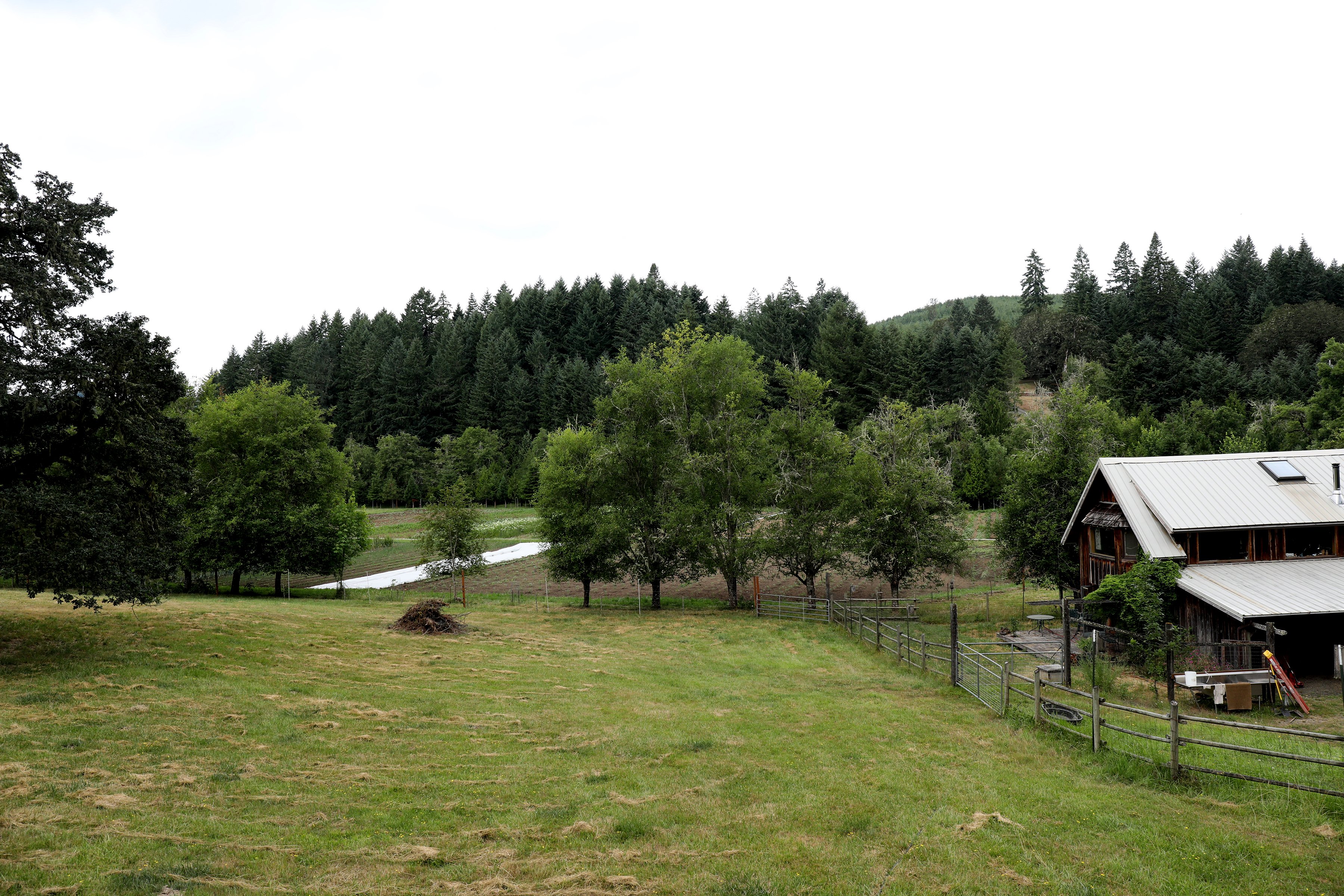 A view of a locally owned sustainable farm in Oregon. This Pacific Northwest farm grows organic herbs as well as wild herbs for harvest. 