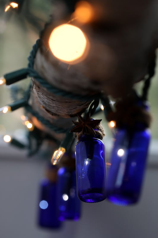 Cobalt Blue glass bottles with twine wrapped around necks handing from tree branch with holiday lights in them. 