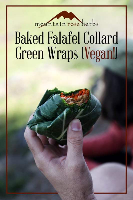 Pinterest link to Mountain Rose Herbs. Hikers enjoying a vegan collard green wrap with falafel and organic vegetables. 