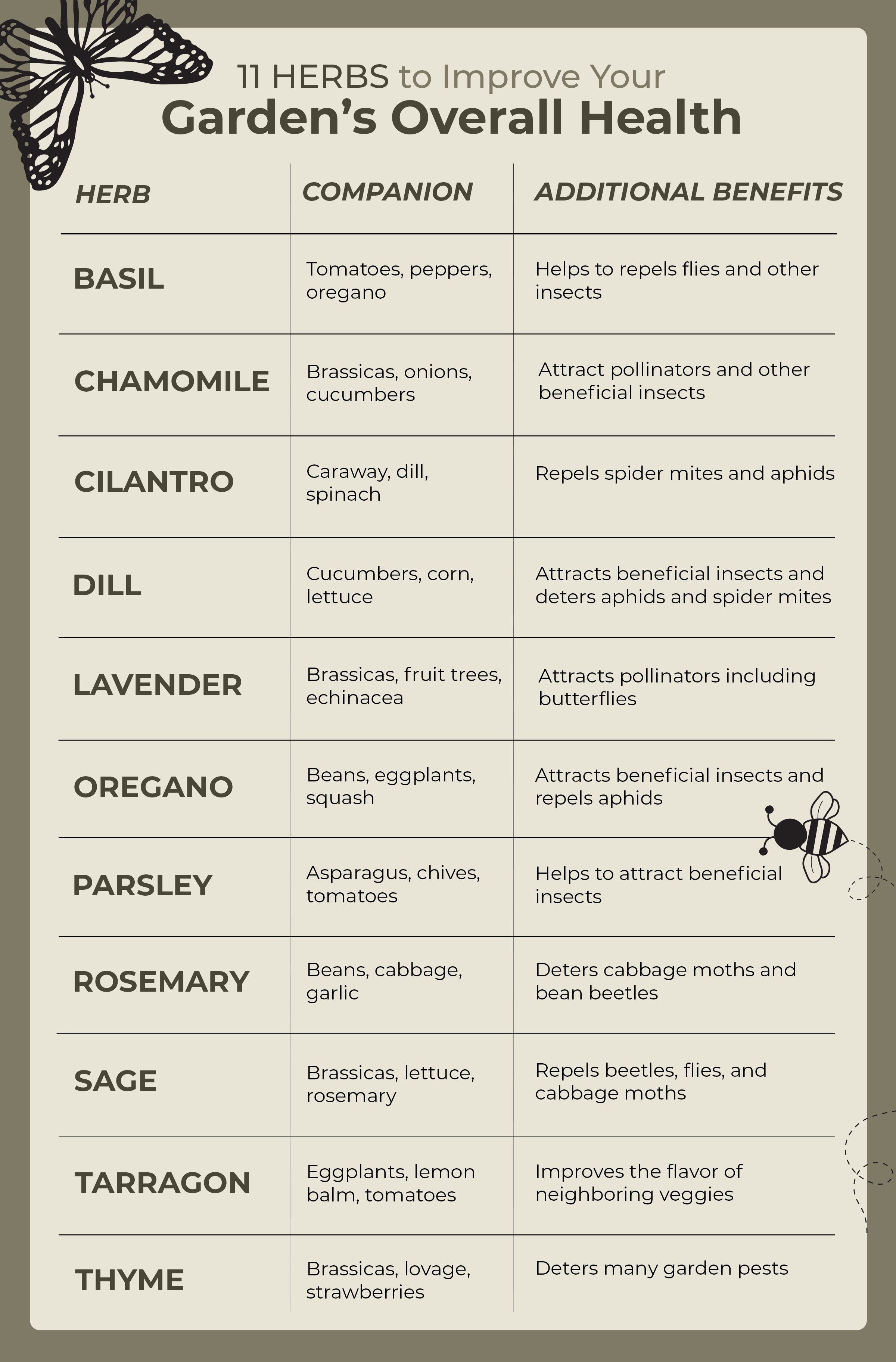 Image of Herbs that attract beneficial insects chart