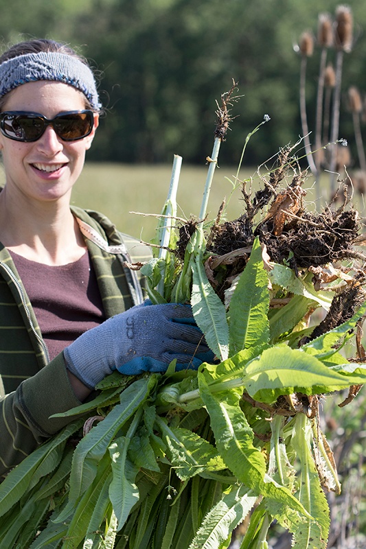 Woman holding plants and doing outdoor clean up and restoration work