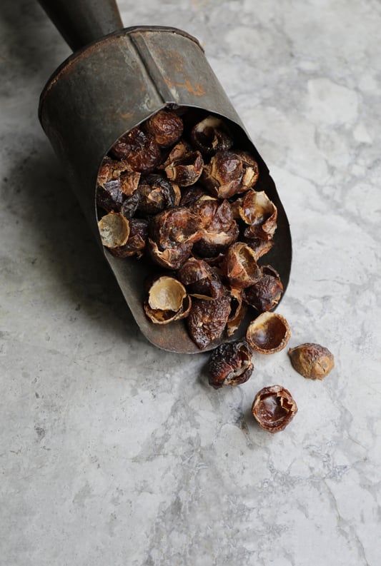 Seeded soap nuts in old metal scoop on marble counter