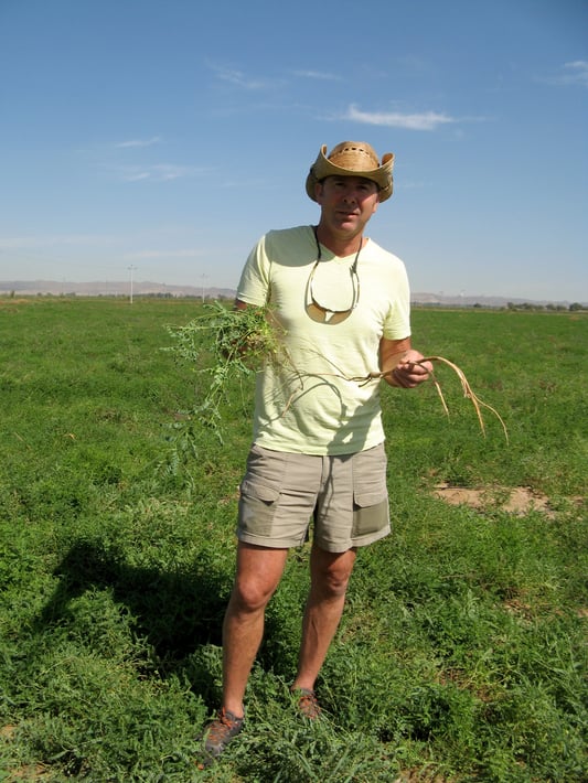 David with Astragalus Root in Inner Mongolia