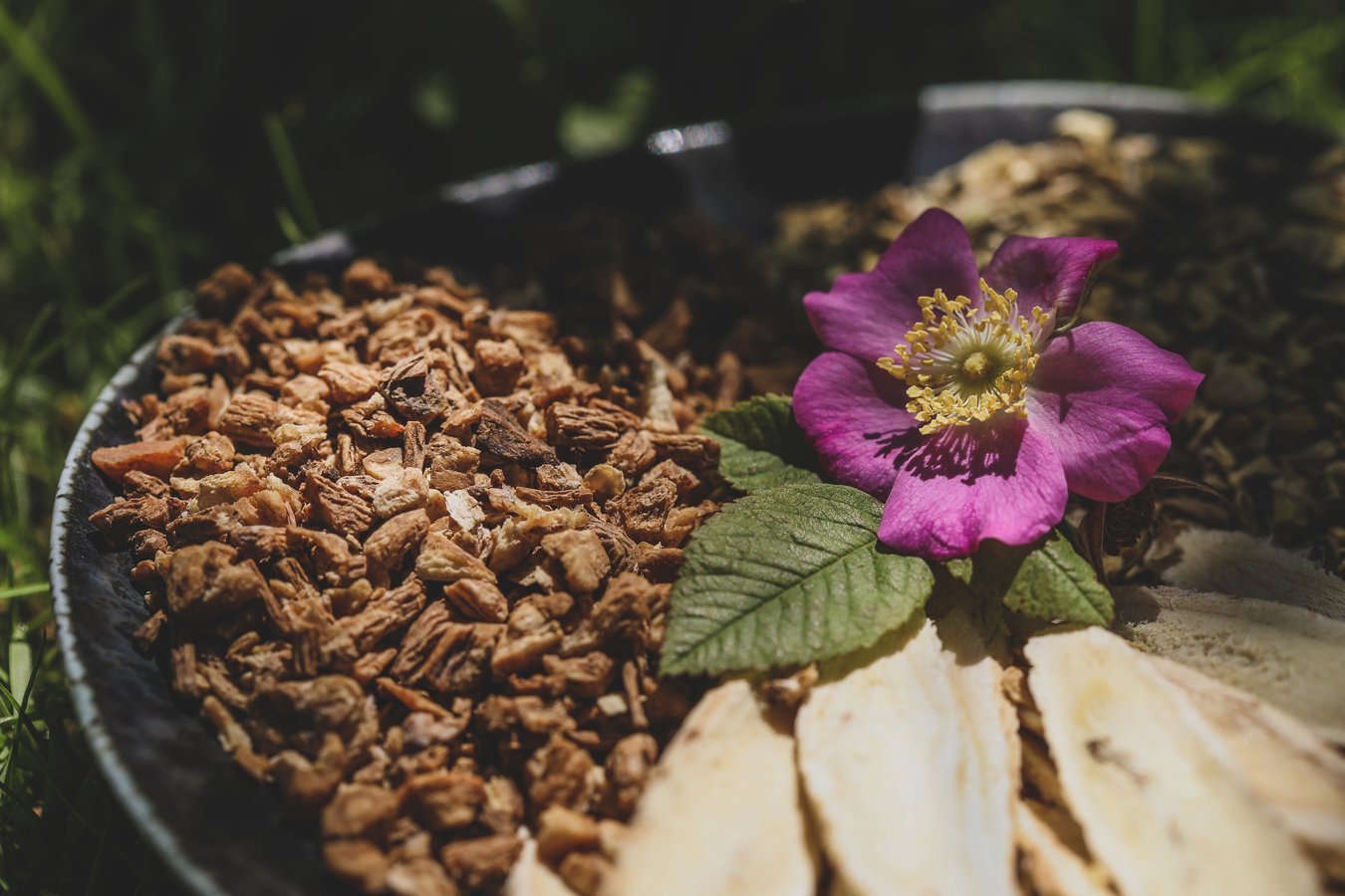 TCM herbs and a wild rose