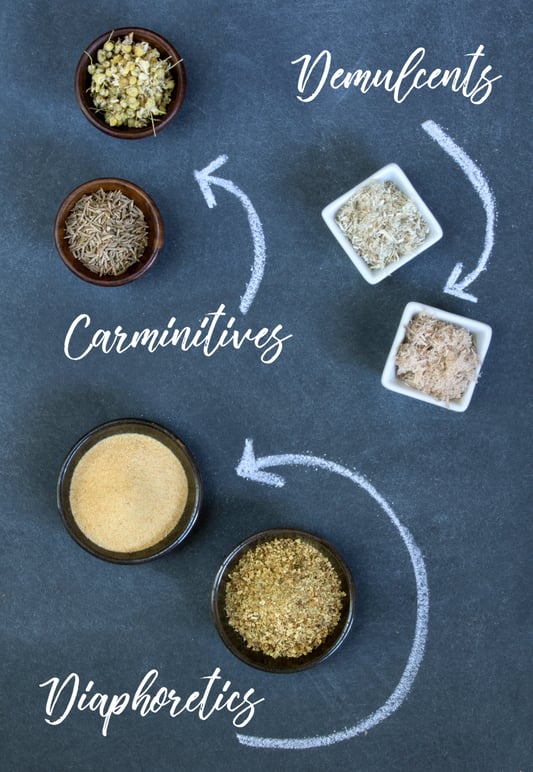 Small bowls of herbs with herbal actions written on chalkboard.