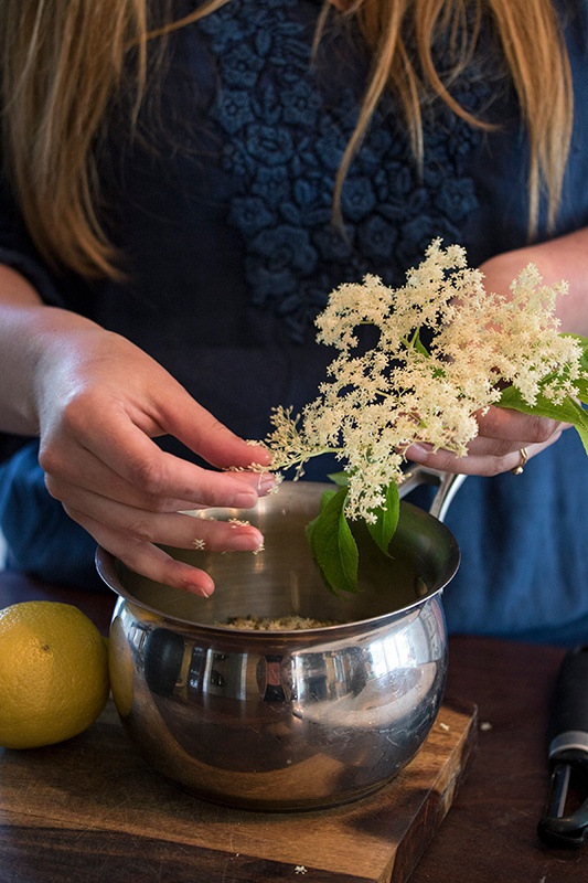 Woman and hands plucking fresh elder flowers to wash and process into syrup