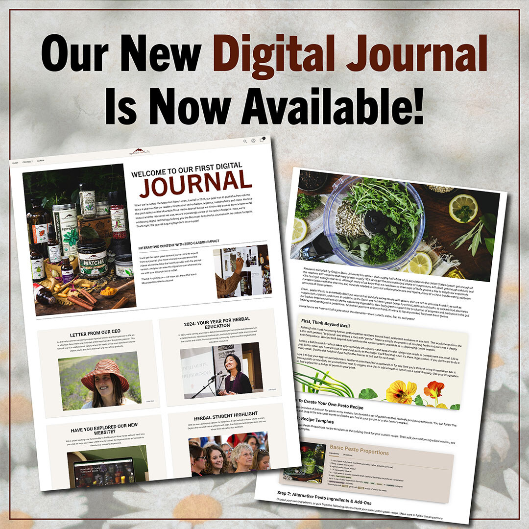 Explore the new 2024 digital journal