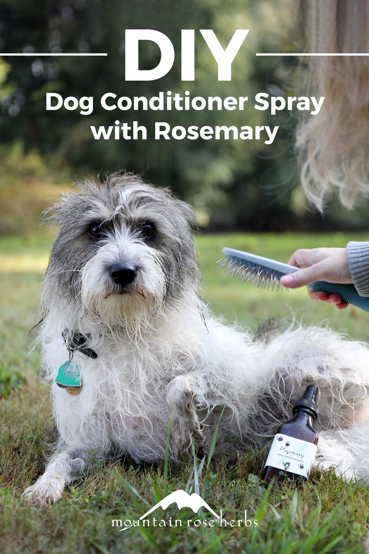 LeaveIn Conditioner Recipe for Dogs