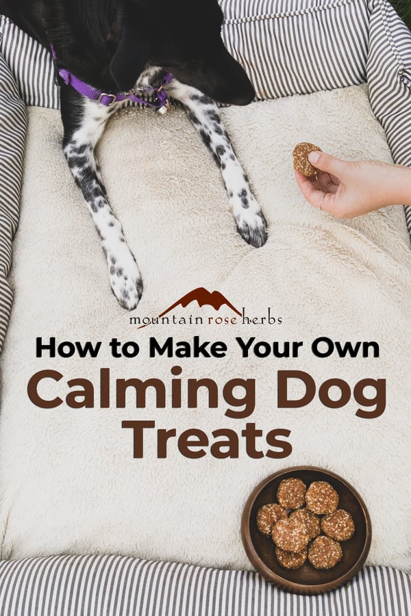 How to Make Your Own Calming Dog Treats