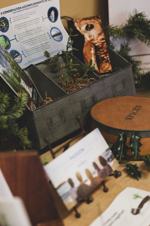 EarthShare table display with brochures and natural objects