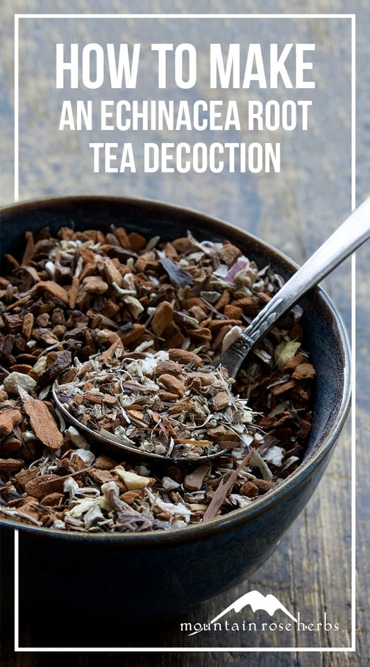 Echinacea Root Tea Decoction Blend Recipe Pin