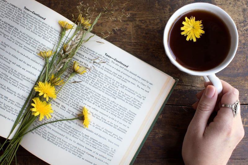 Hand holding echinacea and roots tea blend while reading a book about teas with book open and fresh dandelion flowers