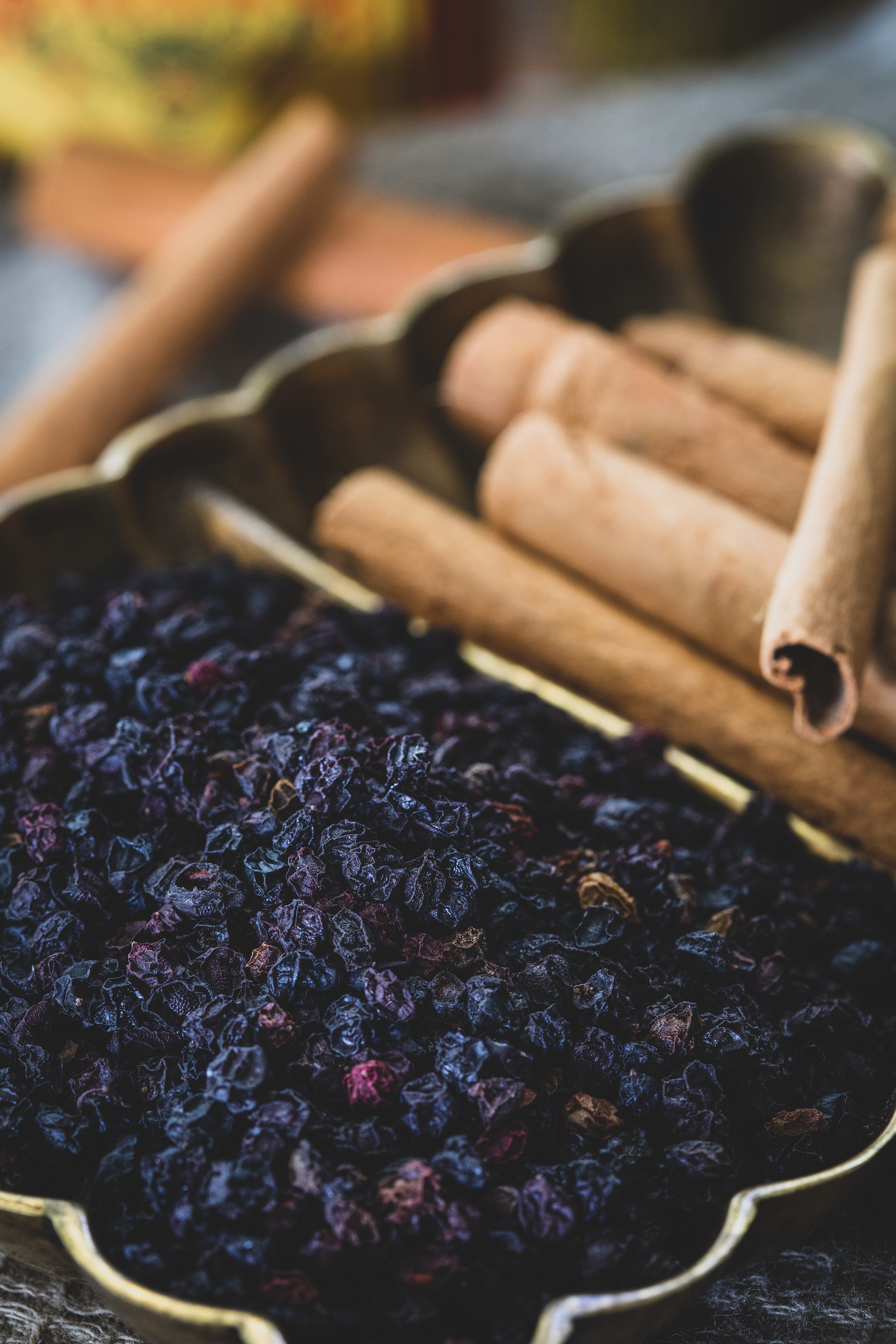 elderberry syrup for dogs