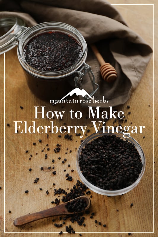 DIY elderberry vinegar pin for Pinterest depicting storage jar with finished vinegar and a glass bowl filled with fresh dried elderberries.