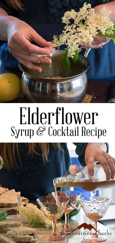 Elderflower Syrup and Cocktail Recipe from Mountain Rose Herbs